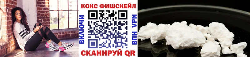 купить наркоту  Вилюйск  Кокаин Fish Scale 