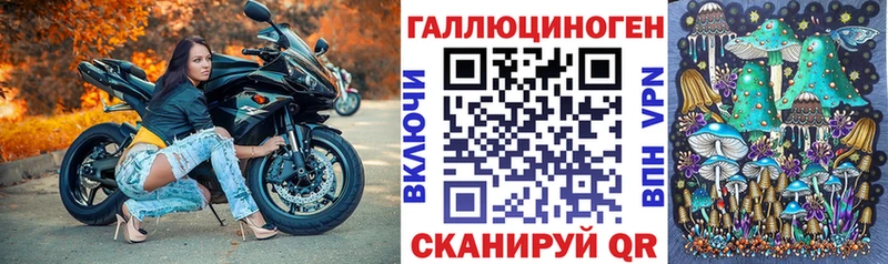 hydra как зайти  Вилюйск  Галлюциногенные грибы Cubensis 